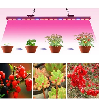 Светодиодная лента для выращивания растений 12v 5050, светильник полного спектра для выращивания растений в теплице, Гидропонный светильник для выращивания растений в помещении